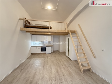 Pronájem bytu 1kk, 48 m² - 0