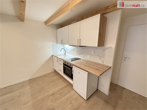 Pronájem bytu 1kk, 48 m² 2