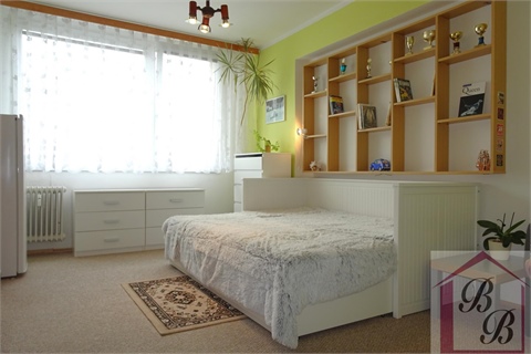 Prodej bytu 3+1, 87 m² 14