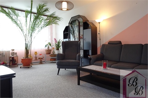 Prodej bytu 3+1, 87 m² 8