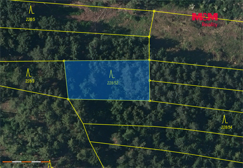 Prodej lesu, 3 520 m² - 0