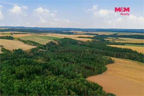 Prodej lesu, 3 520 m² 2