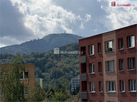 Prodej bytu 2+1, 46 m² 12
