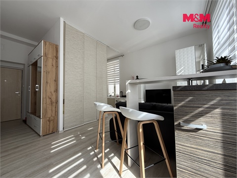 Pronájem bytu 1kk, 38 m² - 4