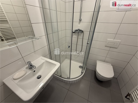 Pronájem bytu 1kk, 25 m² 8