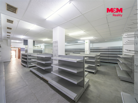 Pronájem obchodních prostor, 263 m² - 0