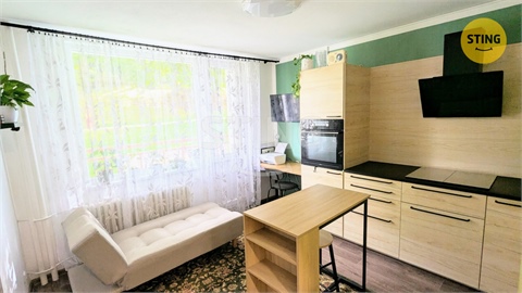 Prodej bytu 1+1, 41 m² 4