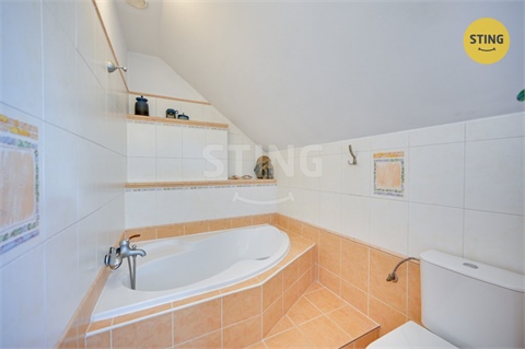 Prodej rodinného domu, 250 m² 28