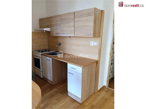 Pronájem bytu 1+1, 41 m² 2