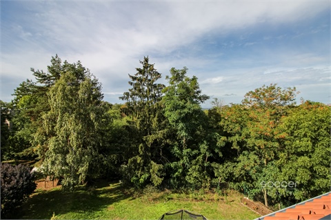 Pronájem bytu 2+1, 63 m² 14