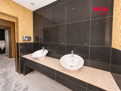 Pronájem obchodních prostor, 237 m² 18