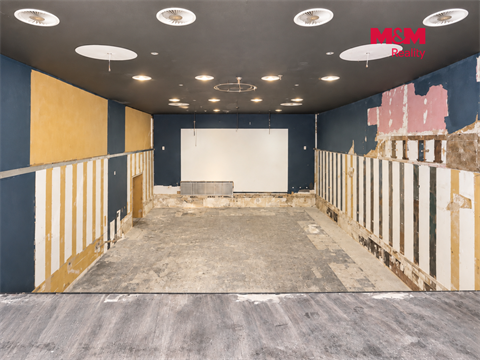 Pronájem obchodních prostor, 237 m² 8