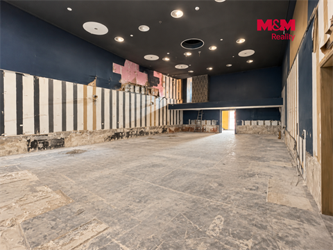 Pronájem obchodních prostor, 237 m² - 0