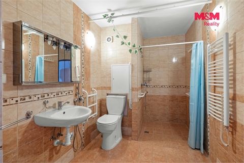 Prodej bytu 3+1, 64 m² 8