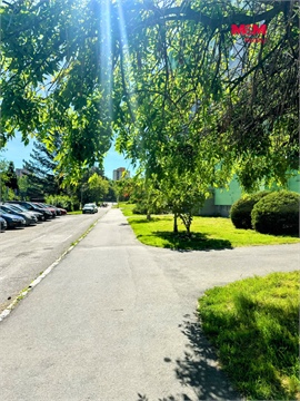Pronájem bytu 3+1, 64 m² 14