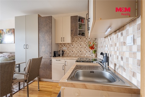 Prodej bytu 1kk, 30 m² - 4