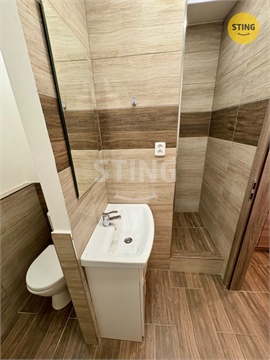 Pronájem bytu 1kk, 30 m² - 10