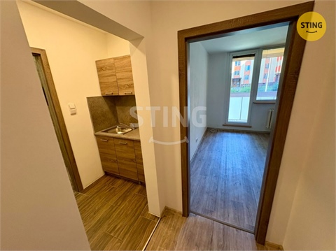 Pronájem bytu 1kk, 30 m² 8