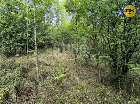 Prodej stavebního pozemku, 2 800 m² 10