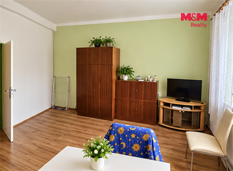 Prodej bytu 1+1, 47 m² 4