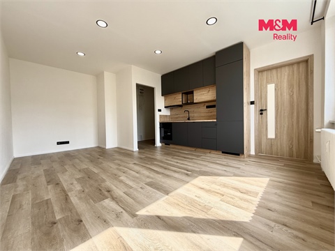 Pronájem bytu 1+1, 41 m² - 0
