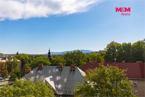 Prodej bytu 1kk, 21 m² 4