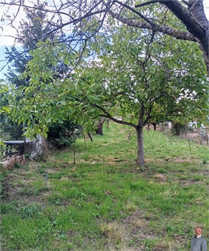 Prodej zahrady, 588 m² 4