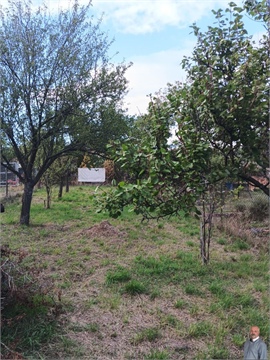 Prodej zahrady, 588 m² - 4