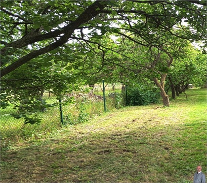 Prodej zahrady, 588 m² 8