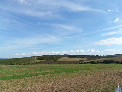 Prodej zahrady, 588 m² - 10