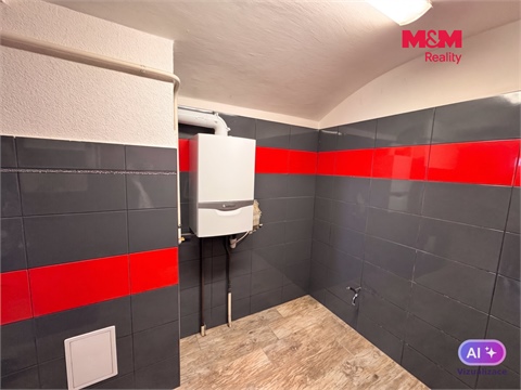 Pronájem obchodních prostor, 53 m² 10