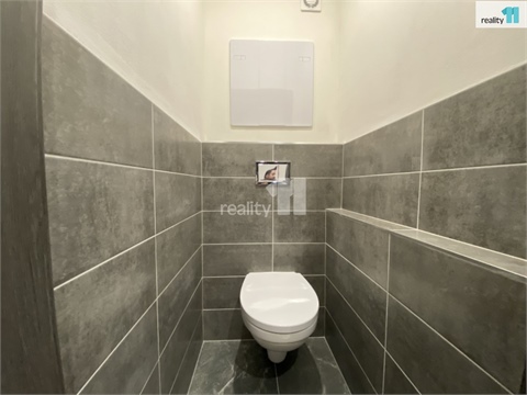 Prodej bytu 2+1, 56 m² 4