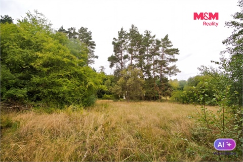 Prodej stavebního pozemku, 2 828 m² - 4