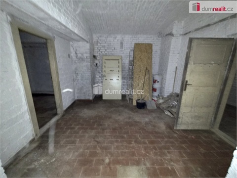 Prodej atypického bytu, 228 m² - 4