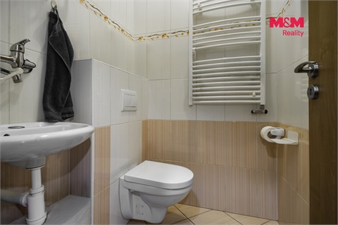 Prodej obchodních prostor, 383 m² - 6