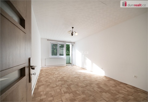 Pronájem bytu 1+1, 41 m² 2