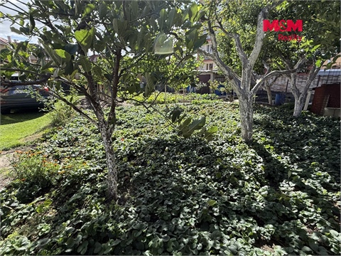 Prodej rodinného domu, 250 m² 4
