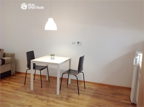 Pronájem bytu 1kk, 30 m² 2