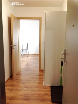 Pronájem bytu 1kk, 30 m² - 4