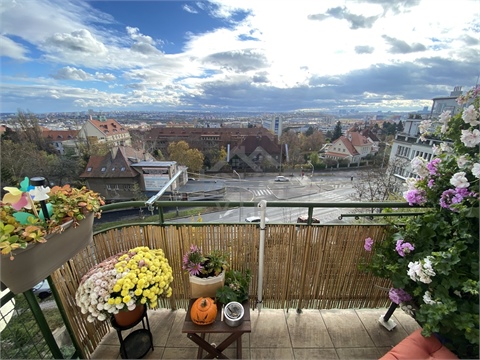 Pronájem bytu 3kk, 75 m² 0