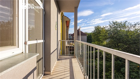 Prodej bytu 1kk, 24 m² - 0
