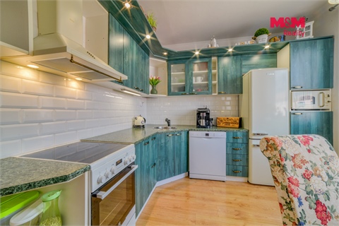 Prodej bytu 3+1, 74 m² 18