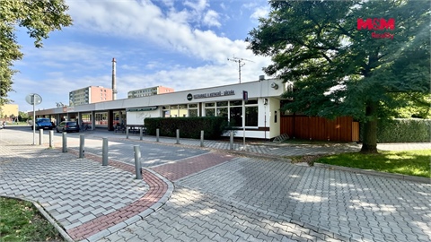 Pronájem bytu 1+1, 40 m² - 10