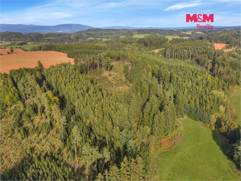Prodej lesu, 8 513 m² 4