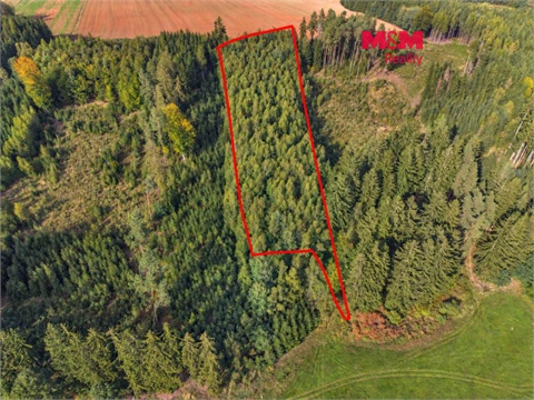 Prodej lesu, 8 513 m² 0