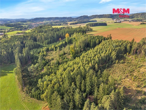 Prodej lesu, 8 513 m² - 4