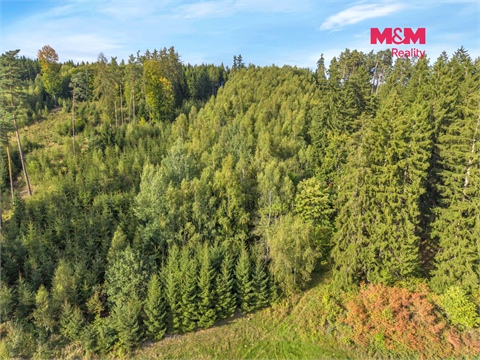 Prodej lesu, 8 513 m² - 8