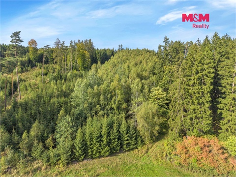 Prodej lesu, 8 513 m² 10