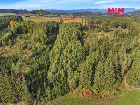 Prodej lesu, 8 513 m² 8
