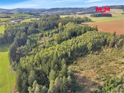 Prodej lesu, 8 513 m² 6